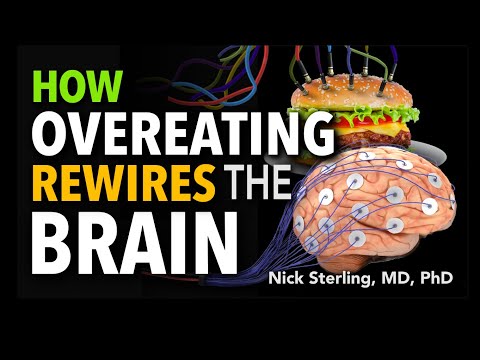 How Overeating Rewires Our Brains – Neuroscience of Weight Gain & Loss | Nick Sterling, MD, PhD #4