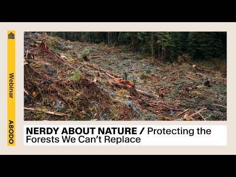 WEBINAR / Protecting the Forests We Can't Replace