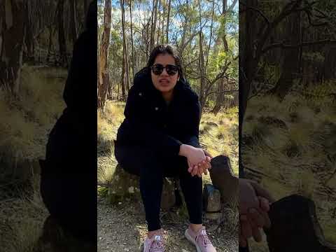 Australian partner Visa 309 details | what visa office asked in (email & in interview) | full vlog