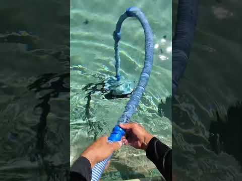 I make my money in the pool industry.