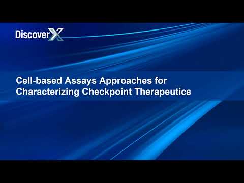 Functional Assays for the Development of Agonistic Antibodies