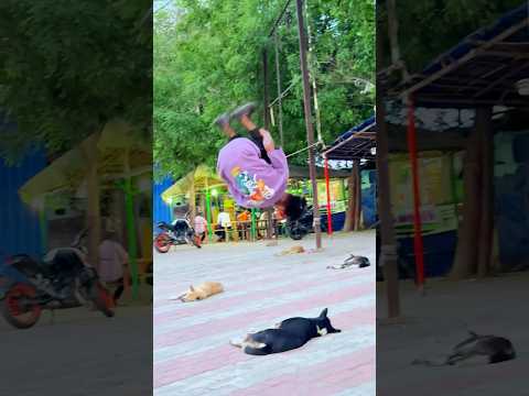 dog funny🤣 Flip videos 😜#flip #flipjump #teambackflip #shortsyoutube #dog