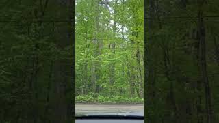 So beautiful upstate New York #upstatenewyork #newyork #upstatenewyork #spring #spring2025