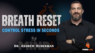 Dr. Andrew Huberman Inspired: Breathwork Techniques for Calm & Laser Focus | Mind Lab