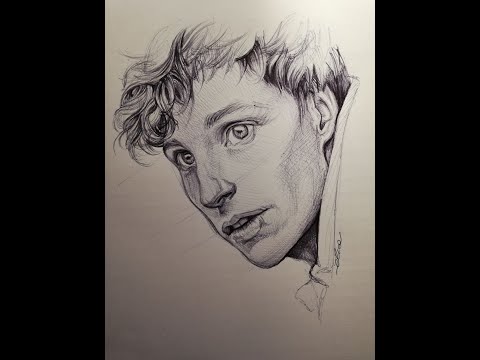 Newt Scamander | Fantastic Beasts and where to find them| #howtodraw #eddieredmayne