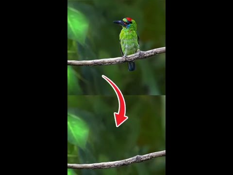 Removing Unwanted Part From Image In Photoshop #photoshop #shorts #adobe