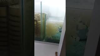 Aquarium sump tank easy setup