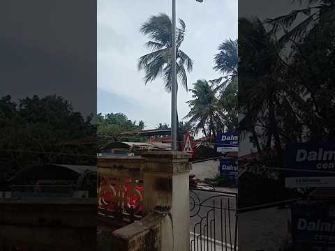 A day off life Mini Vlog |#weather #bimolvlog #minivlog #trending #shorts #viral #mausam #ytshorts