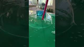 Soap Bubbles 🎶 🛁 #preschoolscience #scienceforkids #scienceexperimentsforkids