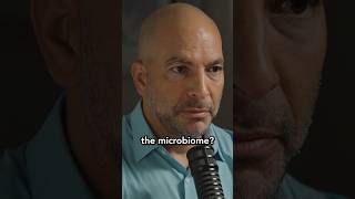 What is the microbiome?