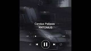 Carolus Pallawa - ANTONIUS | Our Music Station | #instrumental #indoparty #pemersatubangsa #lambo
