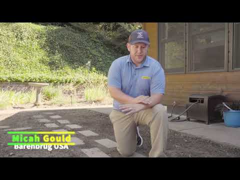 Seeding A New Lawn