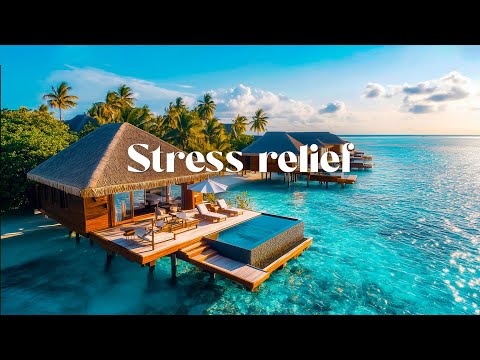 Soothing Guitar for Focus & Stress Relief – Emotional Music for Work and Study