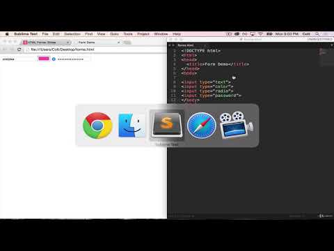 Complete Web Developer Bootcamp #15 | Playing with HTML Inputs
