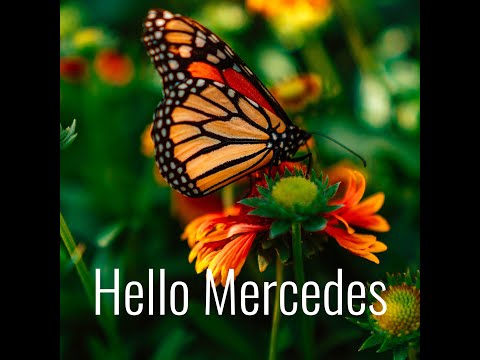 I Am the Soil + the Seeds: Rediscovering Our Connection to Food w/ Jennifer Caroff