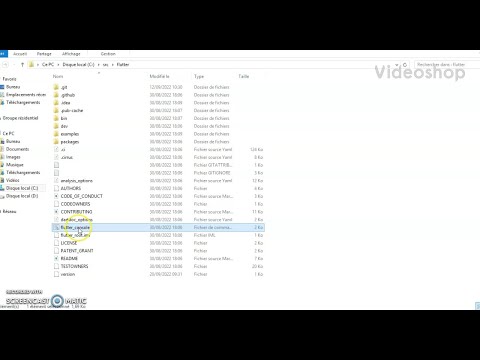 Flutter consol terminal close instantly