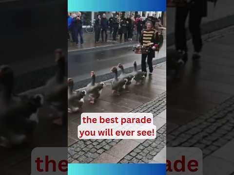 You will never see this again! #dailymemes #meme