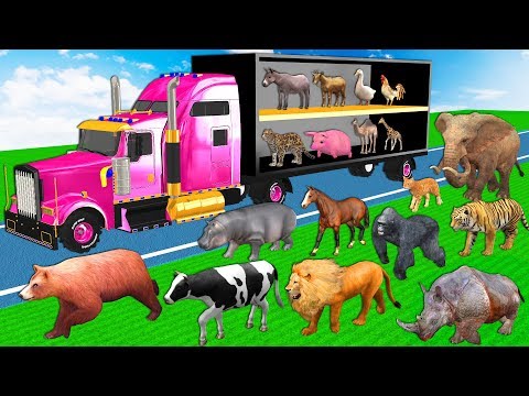 Learn Wild Animals Go To Home On Transporter Truck For Kids - Animals Names & Sounds For Children