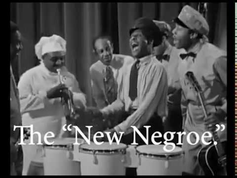 HARLEM RENNAISSANCE VIDEO
