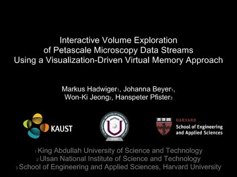 Interactive Volume Exploration of Petascale Microscopy Data Streams