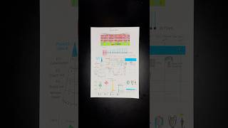 How the Premier League works #data #premierleague #datavisualization #football