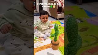 His first reaction to cactus🌵🌵😂😂 . . . #cactusreaction #reactfun #trending #shorts