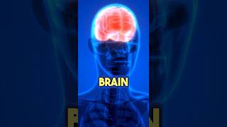 Become smarter in 20 minutes with this brain hack 🧠 #youtubeshorts #workout #biohack #brain