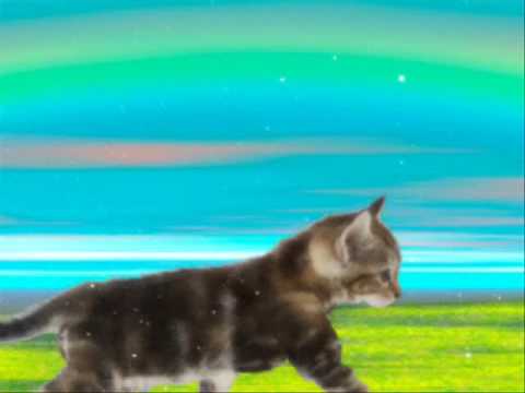 Think of The Kittens