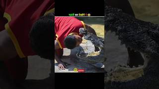 Why Crocodile Can't Be A Pet 😨 || #factshorts #crocodile #shorts #amazingfacts