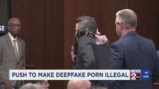 TN broadcaster testifies against deepfake porn