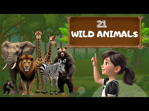 Explore the Wild! 21 wild Animals Around the World