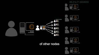 An Intro to Bitcoin Nodes