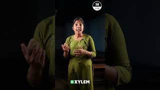 എന്താണ്  Decentralization❓- Let's Learn Commerce | Xylem Plus One Commerce