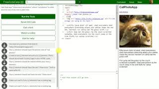 [12] Nest an Anchor Element within a Paragraph