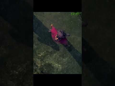 #Making of #Puran_Peerki #AkibBro #trending #viralvideo #shorts