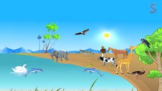 The Basic and Functional Unit of Life Cell | Wifi study | Study4U