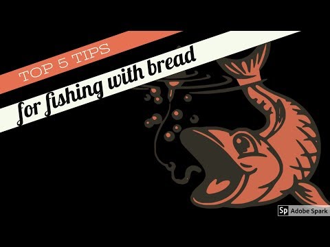 MY top 5 tip for fishing with bread