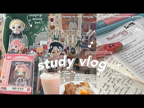 study vlog 🍧 NIIMBOT printer GA (closed), cleaning my desk setup, aesthetic notes, anime merch haul