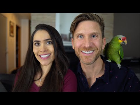 Meet Us & Our Parrot!