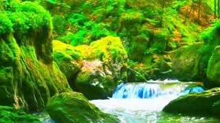 Relax music for meditation, stress relief,helaing music, zen meditation,#helios4k