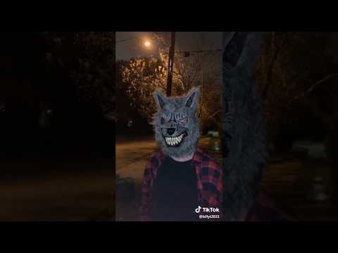 The Perfect Moon for a Werewolf