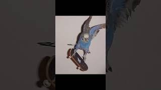 High quality images I stumbled upon pt.10