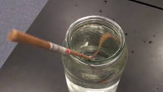 Basics of optical fibres what is refraction and reflection