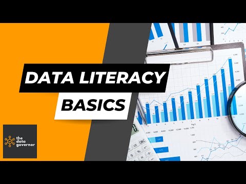 Data Literacy Basics | The Data Governor