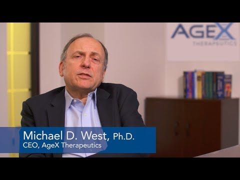 What is telomerase and what role does it play in aging?