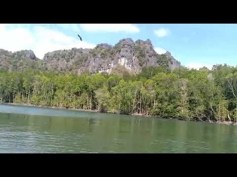 Eagles at geoforest park langkawi