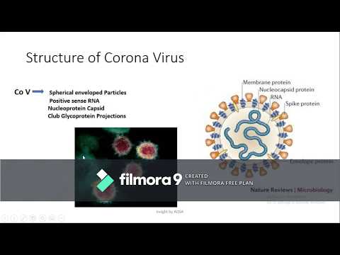 Corona Virus Pandemic in Pakistan | Covid 19 symptoms and diagnosis complete video