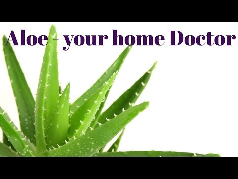 benefits of using aloe in improving immunity -how to use aloe