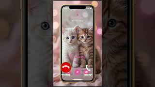 🐱 AI Call Gets Hijacked by This Cute Cat! 📲😂 #shorts #catlover #callfail