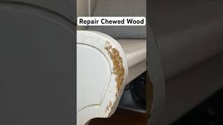 Repair Chewed or Damaged Wood | Fix Dog Chew | Wood Filler or Plastic Wood #diy #wood #repair #fix